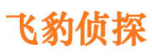 石嘴山市侦探调查公司